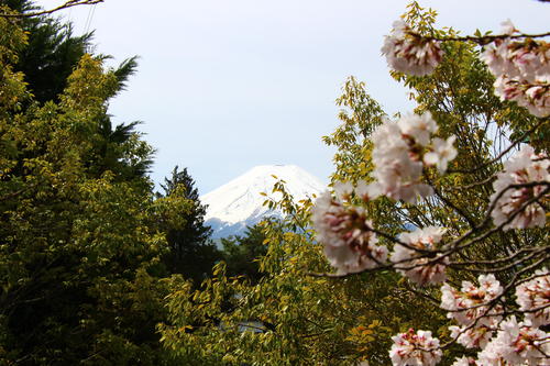 20260409teien (16).JPG