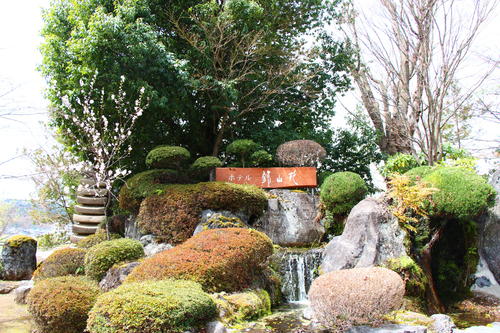 20260409teien (17).JPG