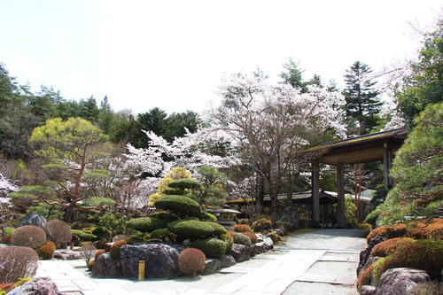 20260409teien (2).JPG