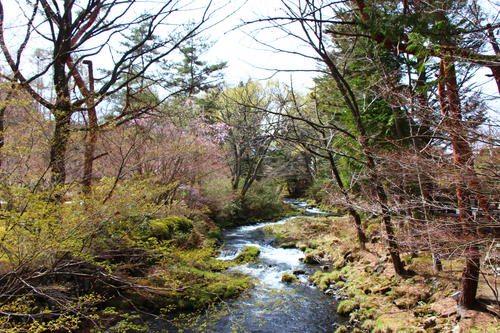 20260409teien (9).JPG