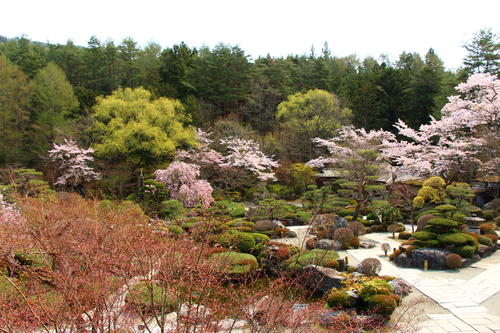 20260412teien (1).JPG