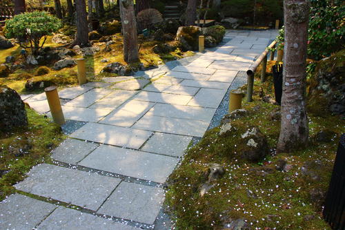 20260412teien (10).JPG