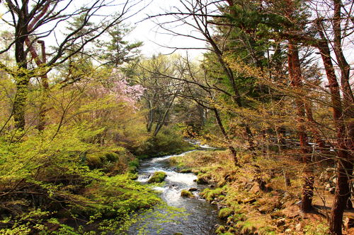 20260412teien (11).JPG