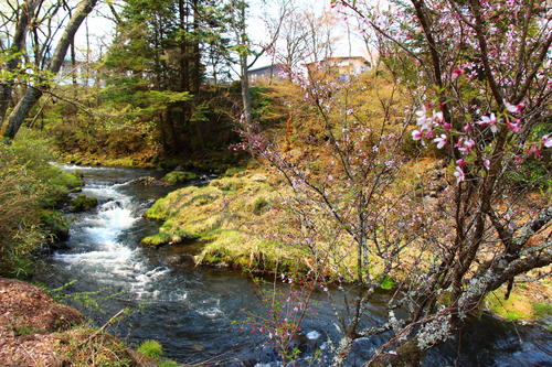 20260412teien (14).JPG