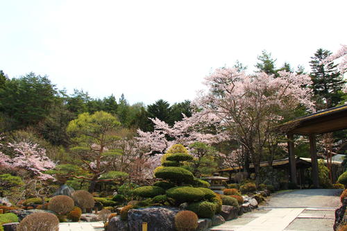 20260412teien (2).JPG