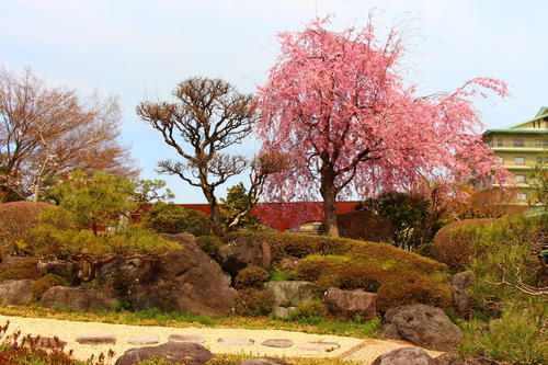 20260412teien (20).JPG