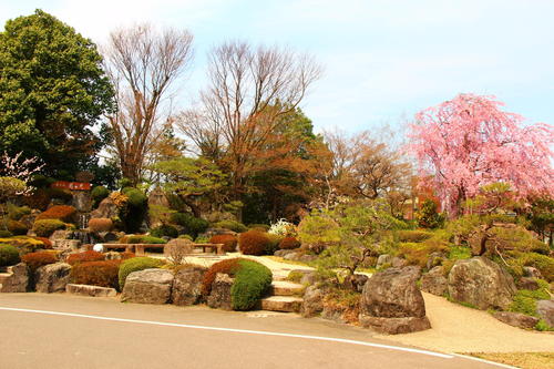 20260412teien (21).JPG