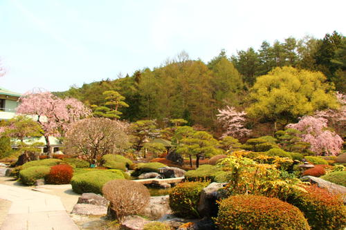 20260412teien (3).JPG