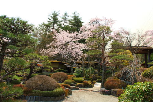 20260412teien (4).JPG