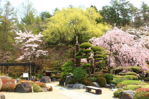 20260412teien (5).JPG