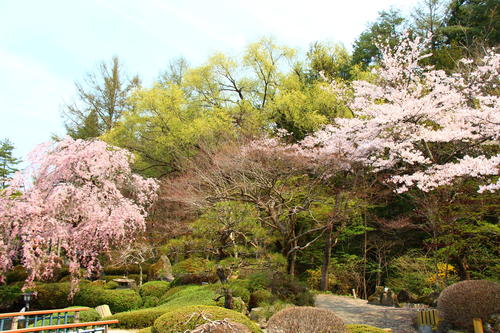 20260412teien (8).JPG