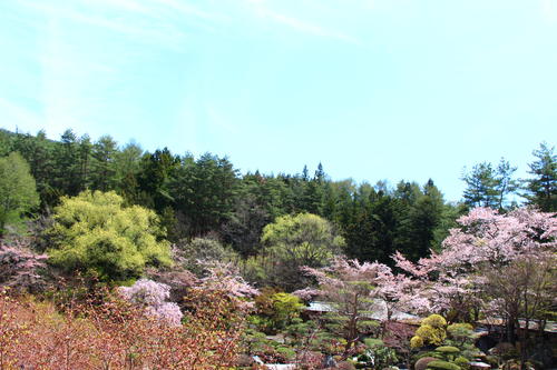 20260414teien (1).JPG