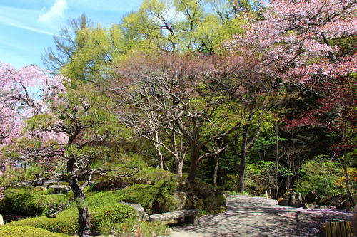 20260414teien (10).JPG