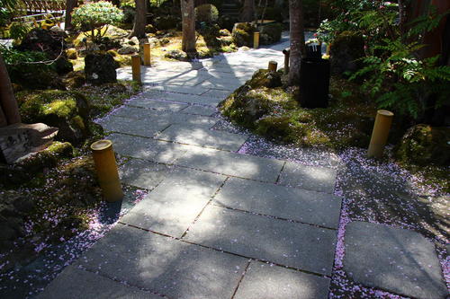 20260414teien (12).JPG