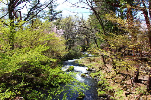 20260414teien (13).JPG