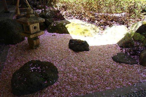 20260414teien (18).JPG