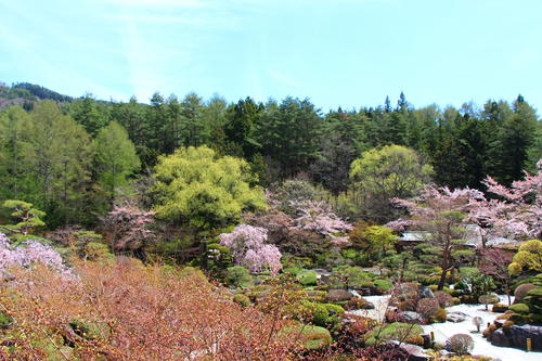 20260414teien (2).JPG