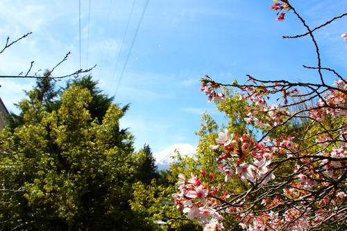 20260414teien (20).JPG