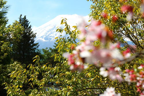 20260414teien (21).JPG