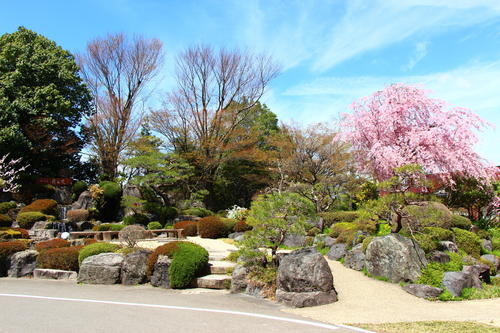 20260414teien (22).JPG