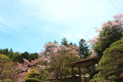 20260414teien (3).JPG