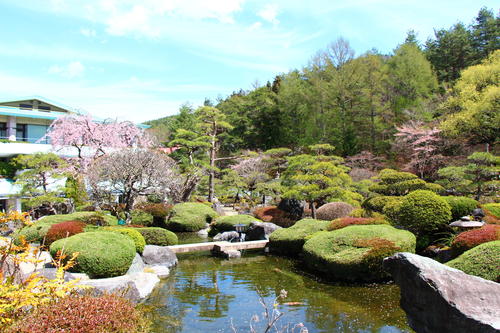 20260414teien (4).JPG