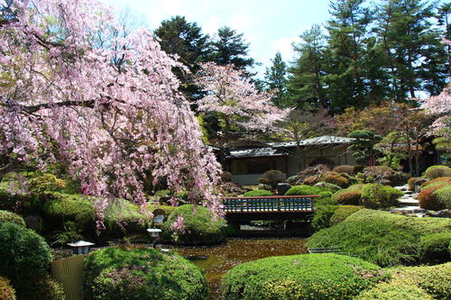 20260414teien (7).JPG