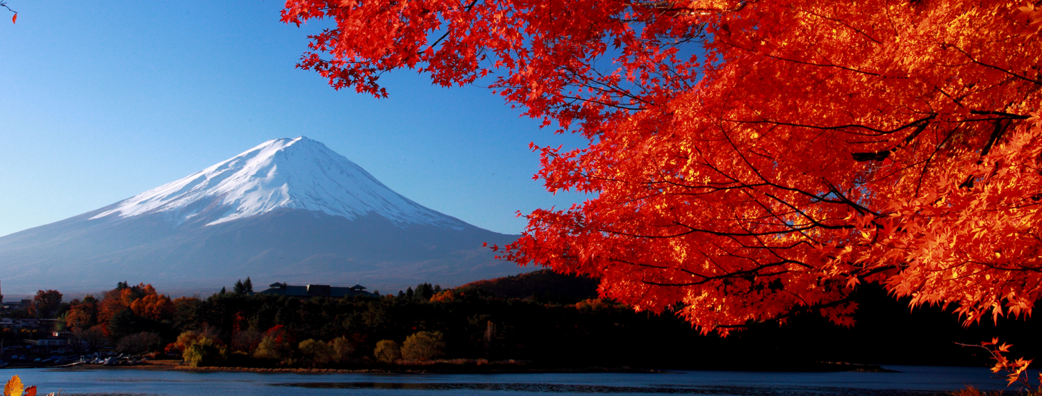 周辺観光案内 鐘山苑の過ごし方 富士山の見える温泉旅館 富士山温泉ホテル鐘山苑公式hp