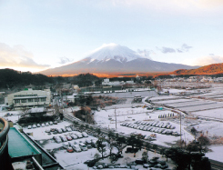 画像：特選