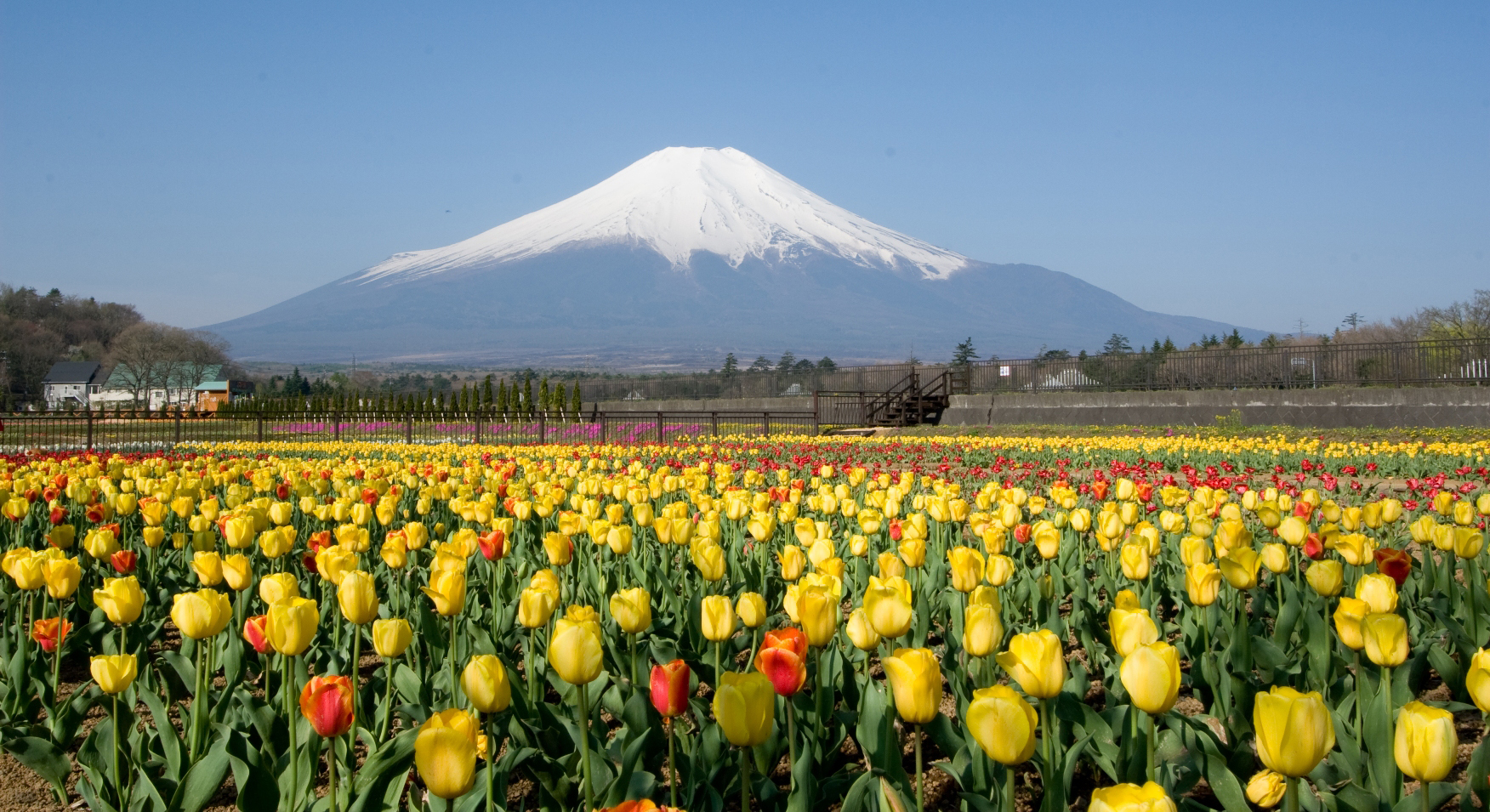 山中湖 花の都公園 うらろじ探訪 鐘山苑での過ごし方 富士山の見える温泉旅館 富士山温泉ホテル鐘山苑公式hp