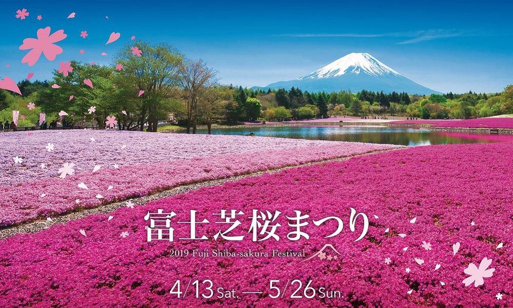 富士芝桜まつり スタッフブログ ふじさん日和 富士山の見える温泉旅館 富士山温泉ホテル鐘山苑公式hp