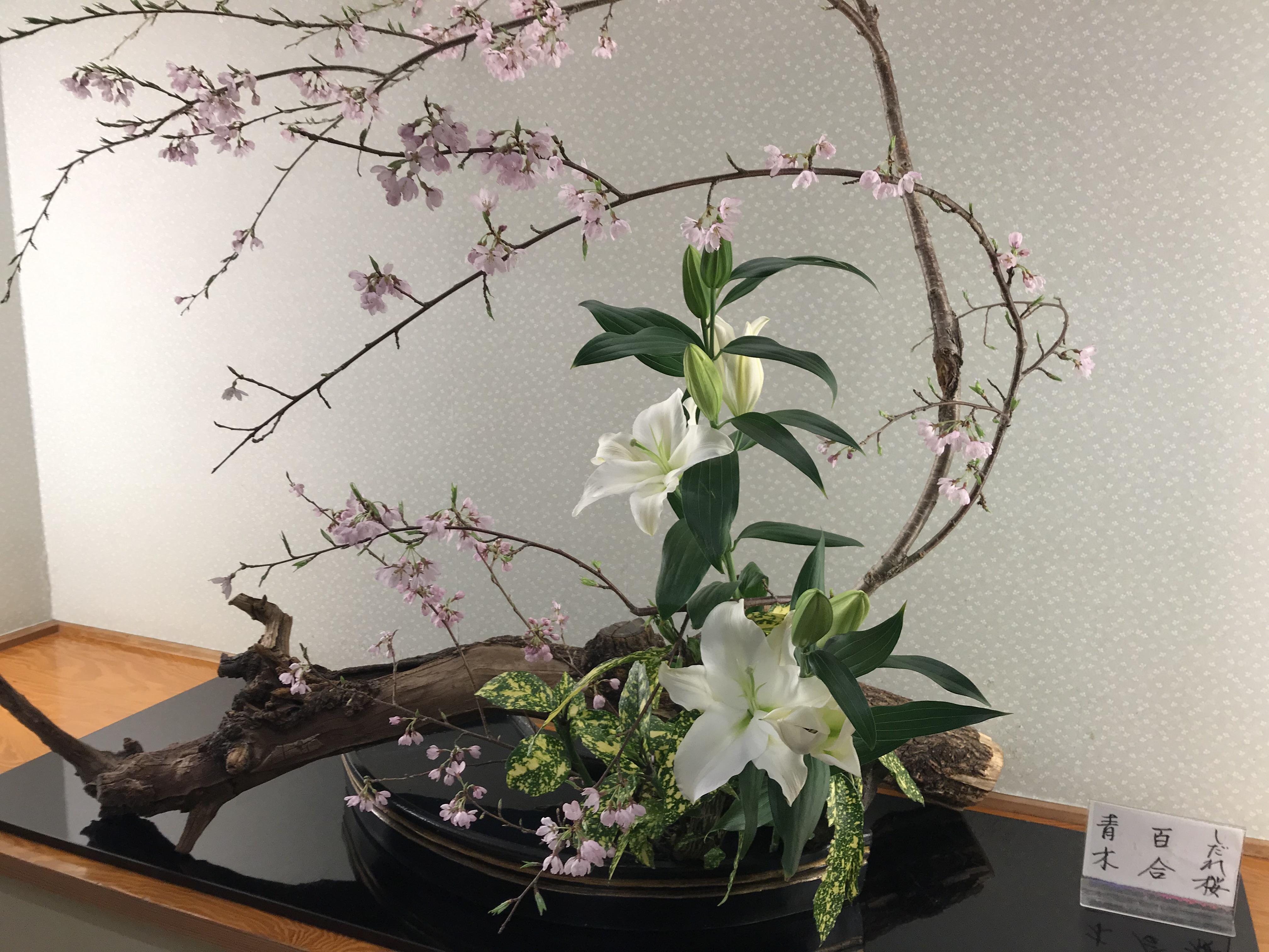 桜の生け花 スタッフブログ ふじさん日和 富士山の見える温泉旅館 富士山温泉ホテル鐘山苑公式hp