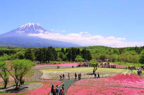 富士山温泉ホテル鐘山苑