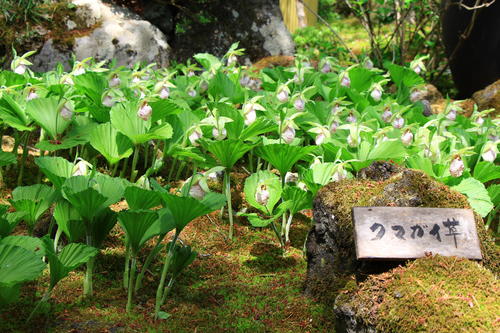 富士山温泉ホテル鐘山苑