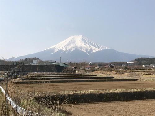 fuji.JPG