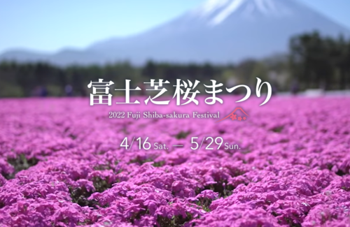富士芝桜2022.png