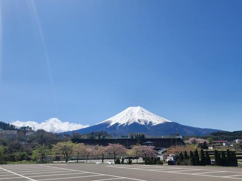 20250421_104433.jpg
