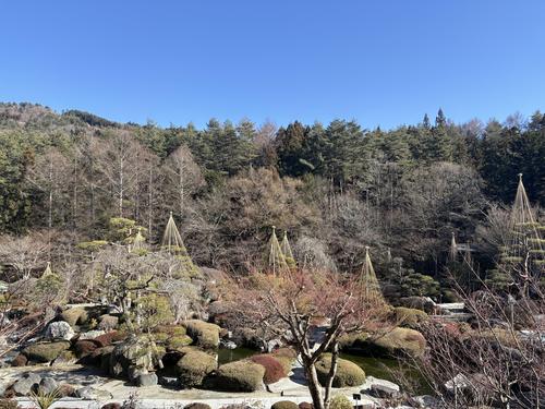 写真 2026-01-14 13 17 51.jpg