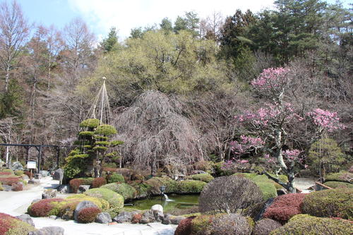 20260328teien (1).JPG