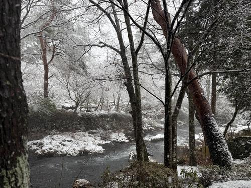 写真 2026-03-03 13 15 53.jpg