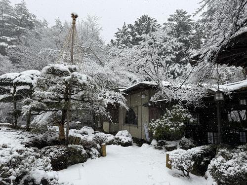 写真 2026-03-03 13 20 21.jpg