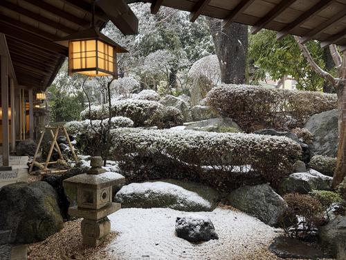 写真 2026-03-03 13 13 38.jpg