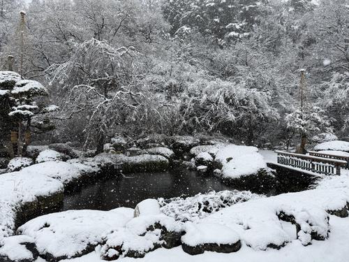 写真 2026-03-03 13 18 46.jpg