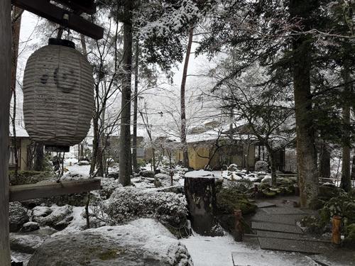 写真 2026-03-03 13 17 35.jpg