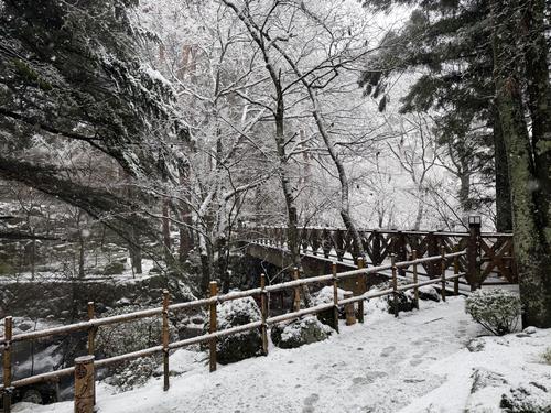 写真 2026-03-03 13 15 06.jpg