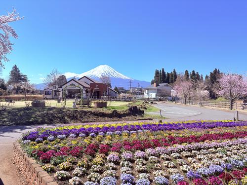 写真 2026-04-08 9 35 52.jpg