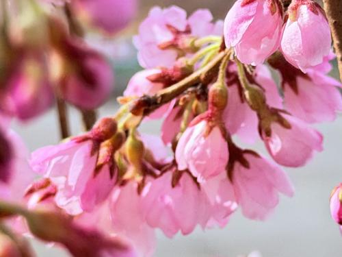 写真 2026-04-01 8 51 39 (1).jpg