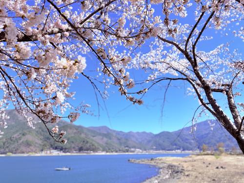 写真 2026-04-08 9 35 31.jpg