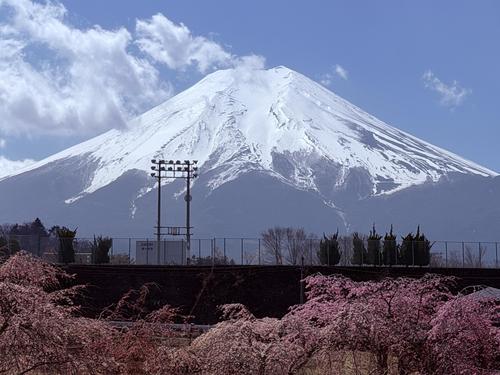 写真 2026-04-03 11 57 09.jpg