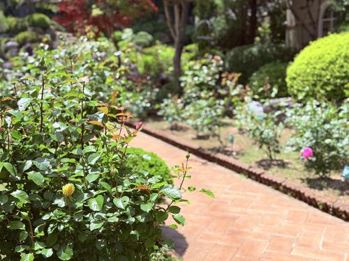 写真 2026-05-18 11 10 18.jpg
